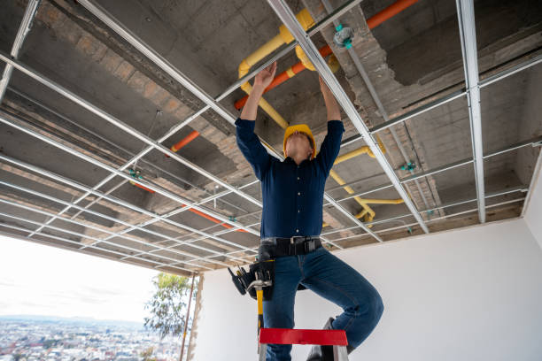 Best Best Plumbers Near Me  in Little Chute, WI
